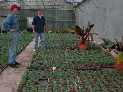 AUX SERRES DE QUENTIN