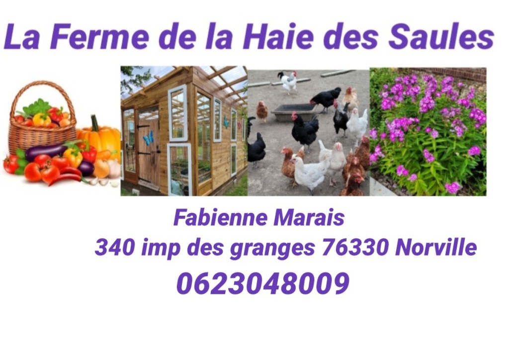 LA FERME DE LA HAIE DES SAULES